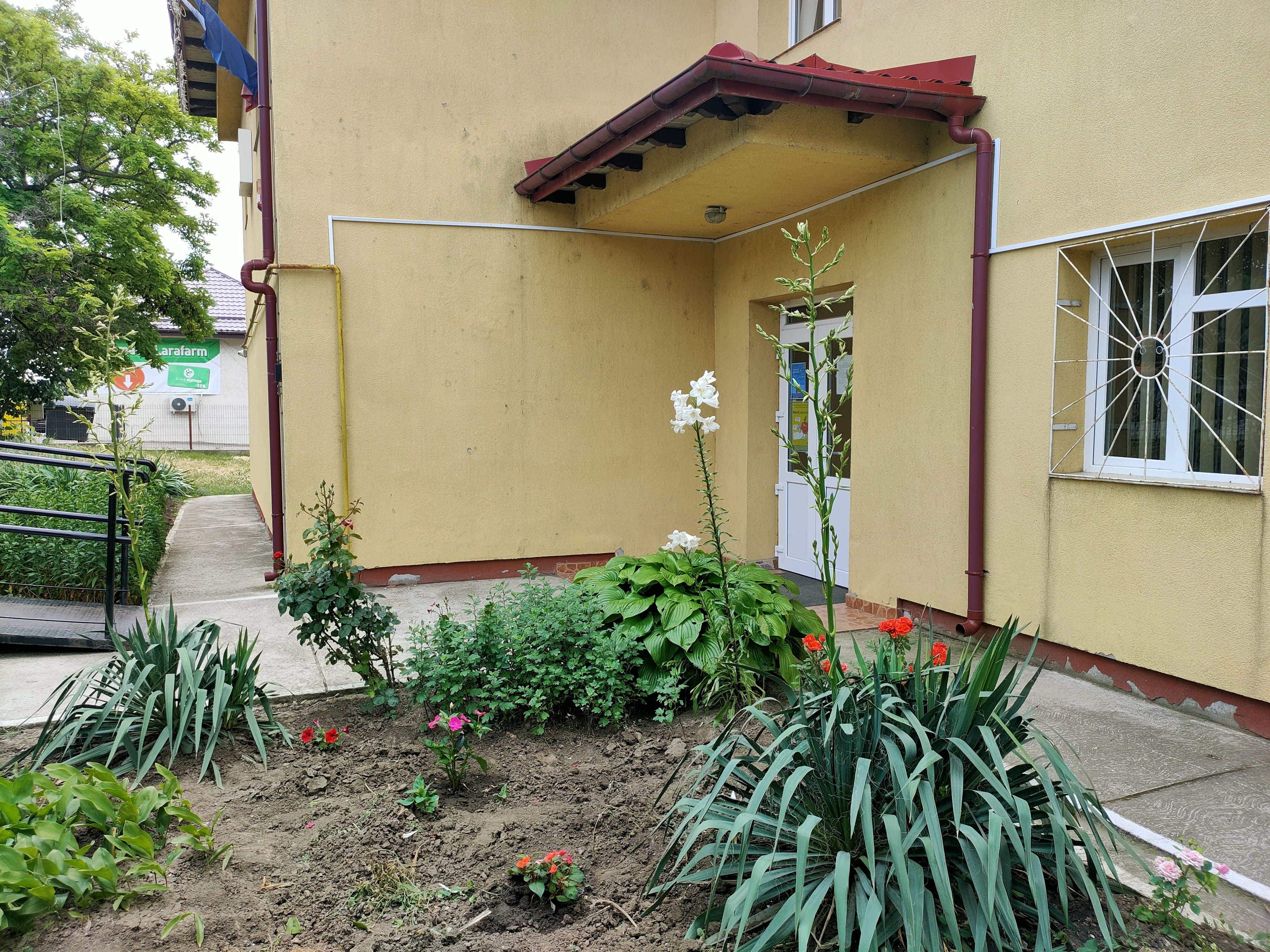 Poza GPN_07.jpg